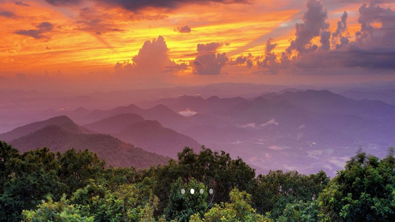 Photo of Others in Dahlonega