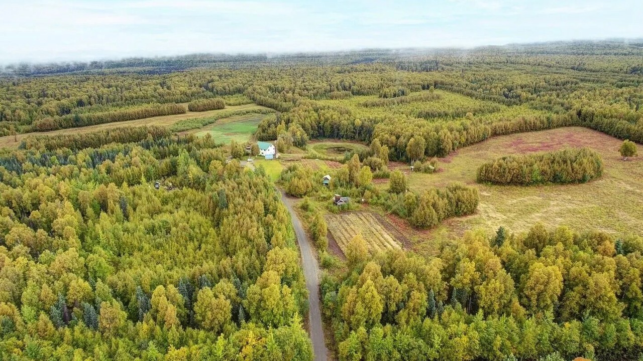 Photo of Outdoor in Talkeetna