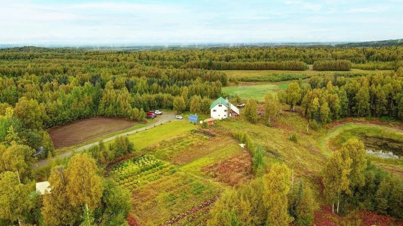 Photo of Outdoor in Talkeetna