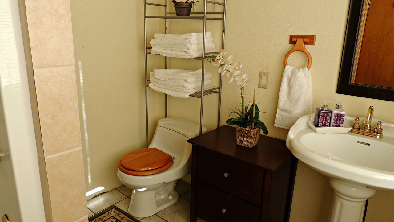 Photo of Bathroom in Talkeetna