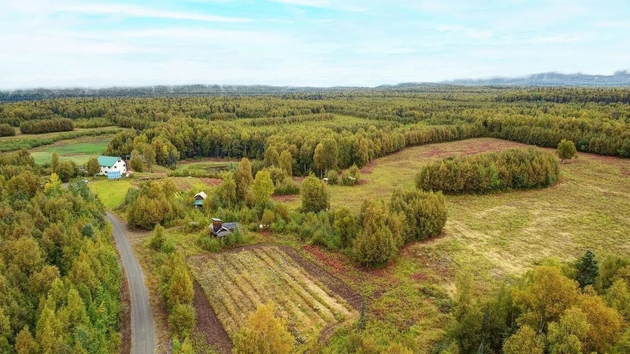 Photo of Outdoor in Talkeetna