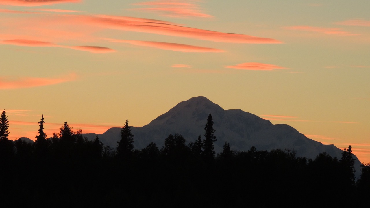Photo of Others in Talkeetna