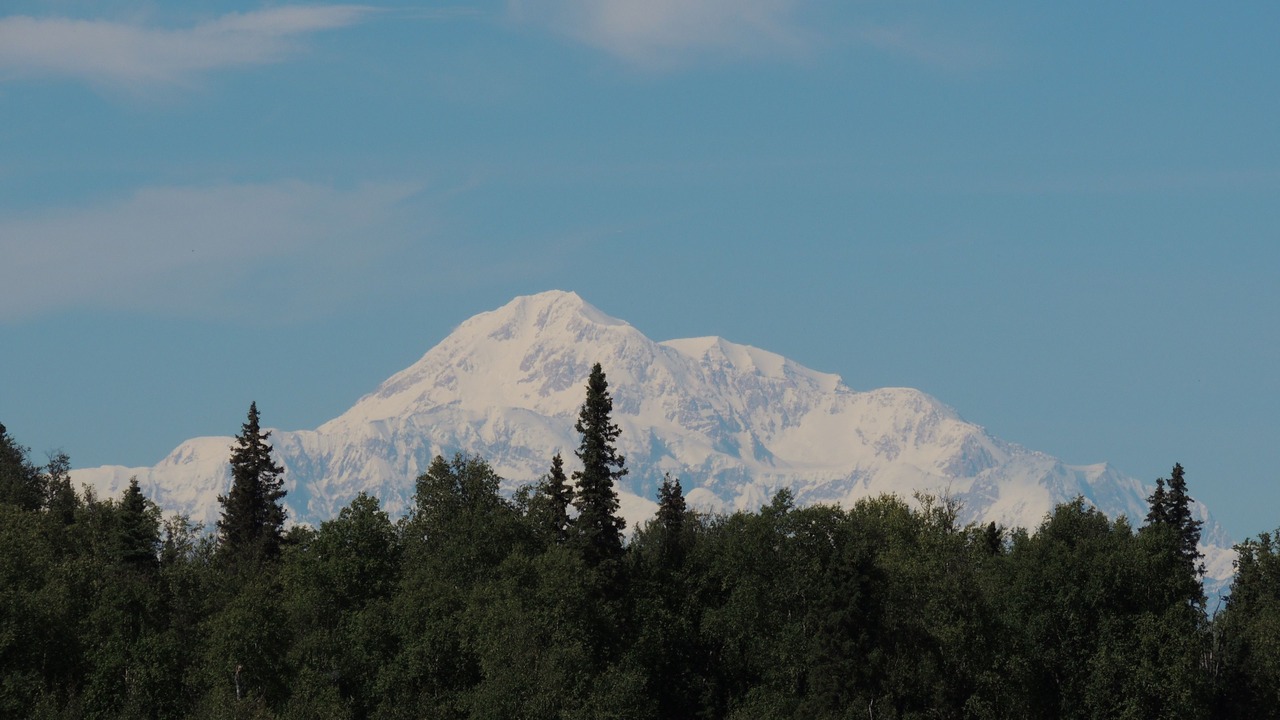 Photo of Others in Talkeetna