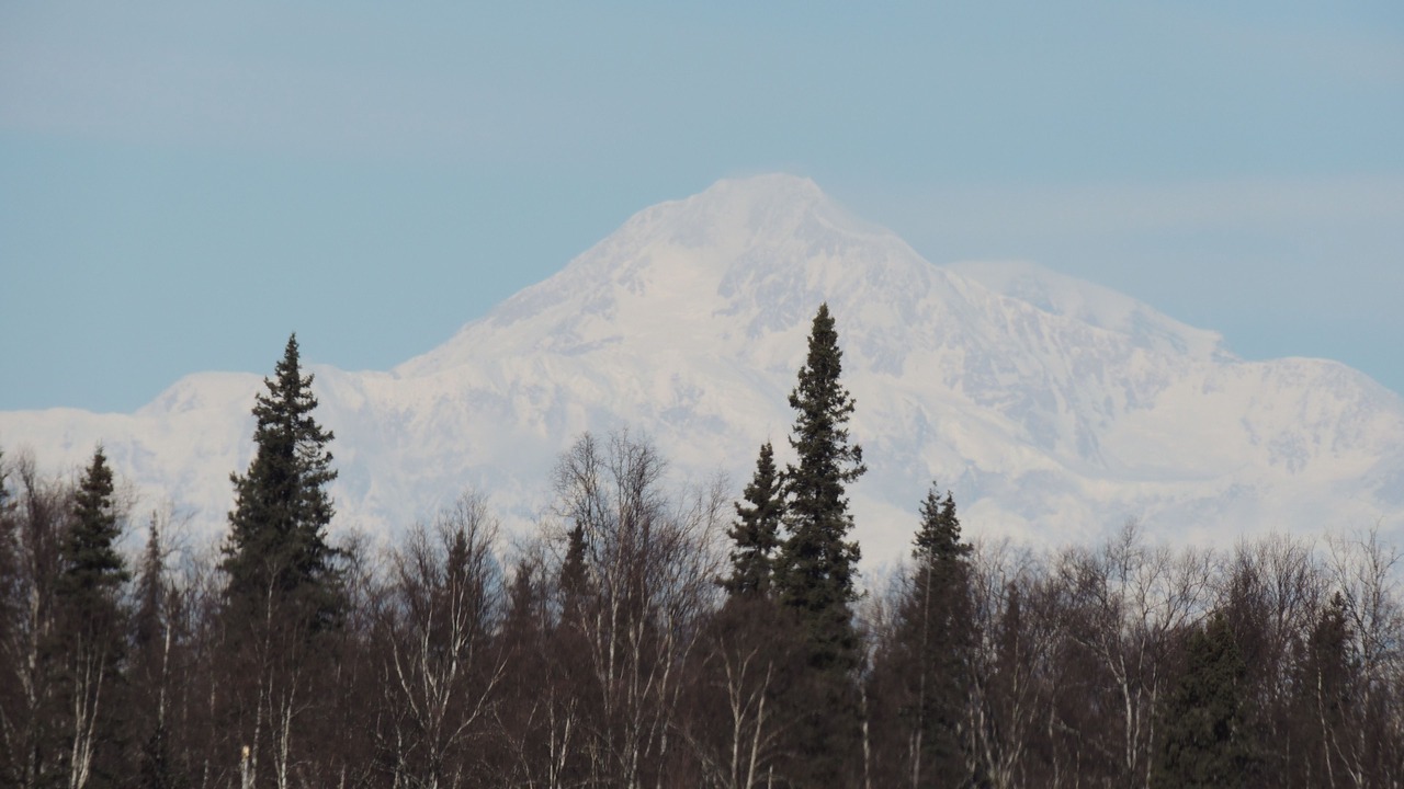 Photo of Others in Talkeetna