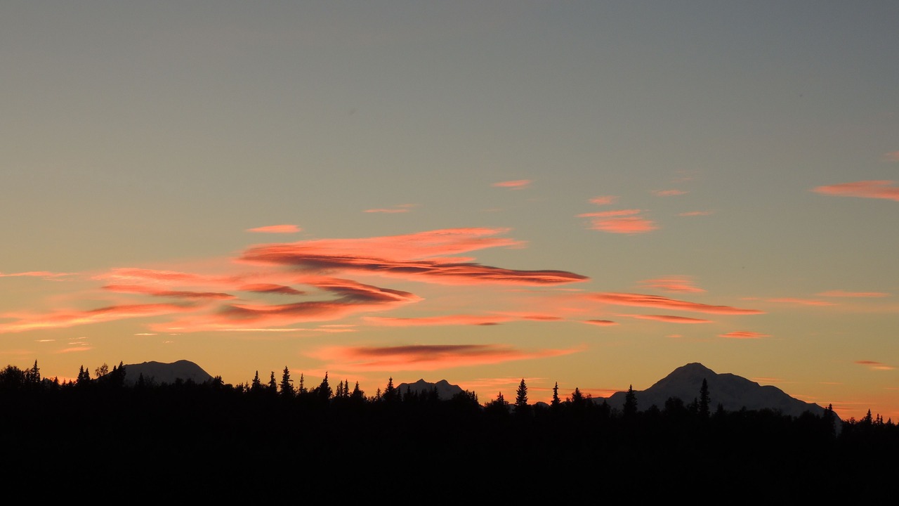 Photo of Others in Talkeetna