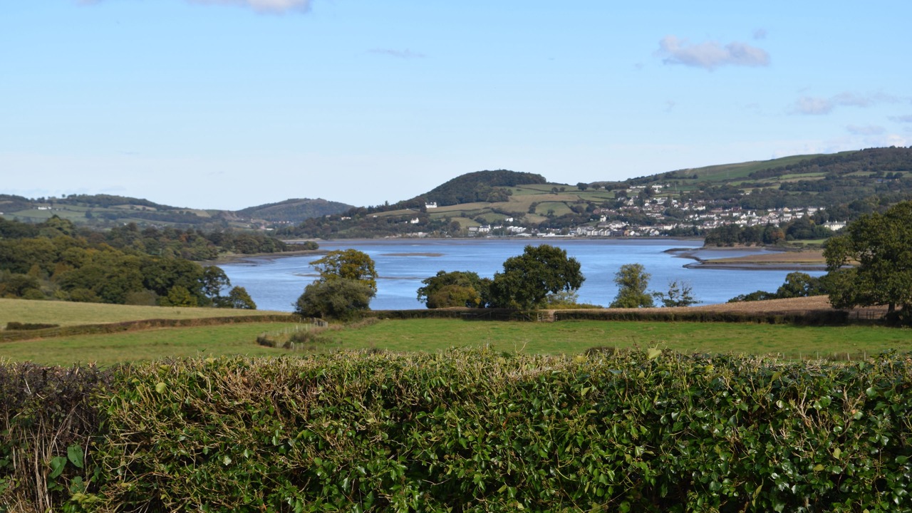 Photo of Others in Henryd