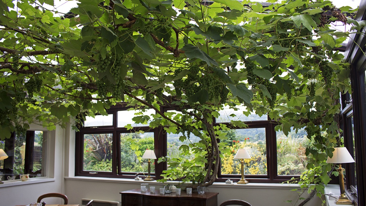 Photo of Others in Henryd