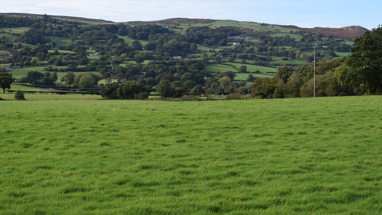 Photo of Outdoor in Henryd