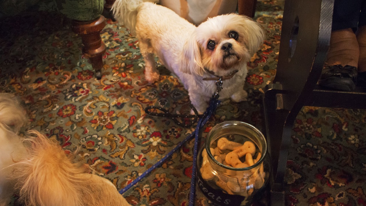 Photo of Others in Henryd