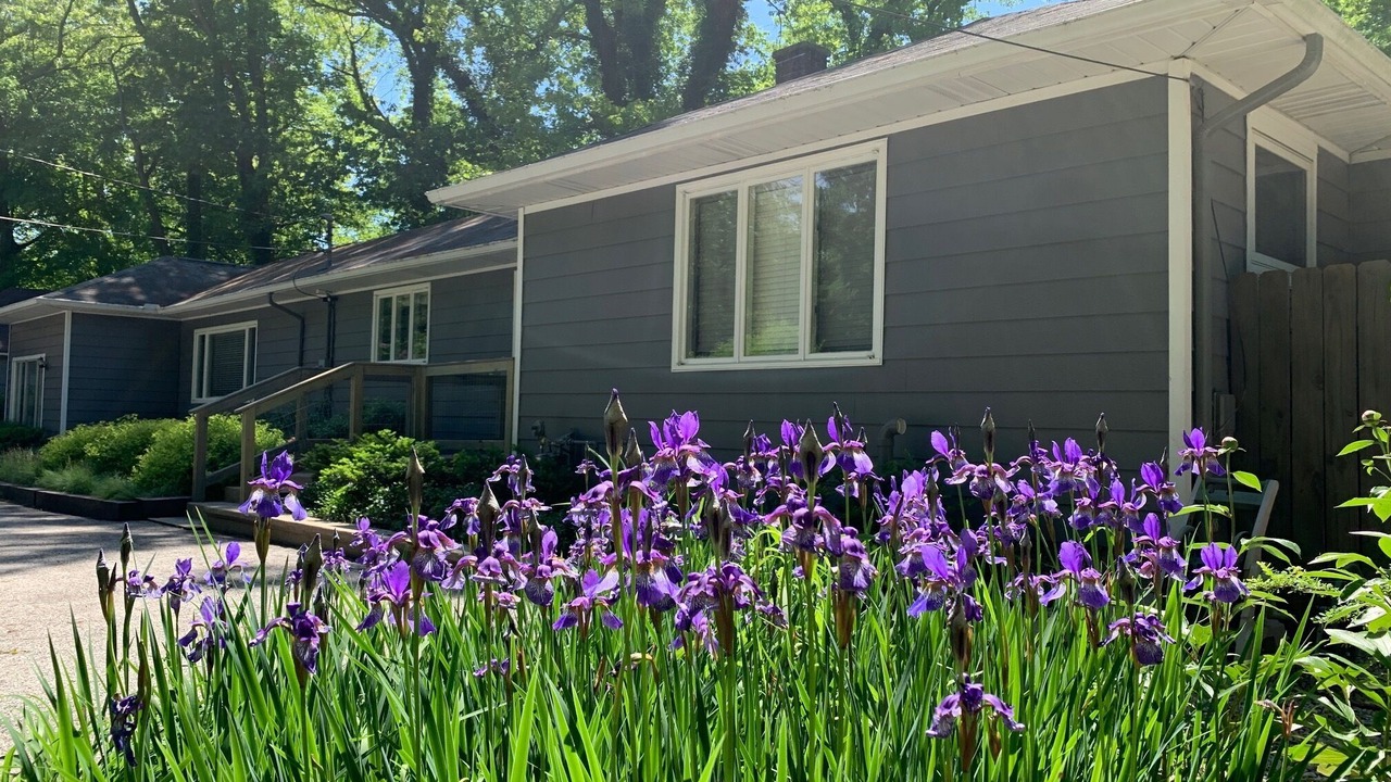 Photo of Others in Union Pier