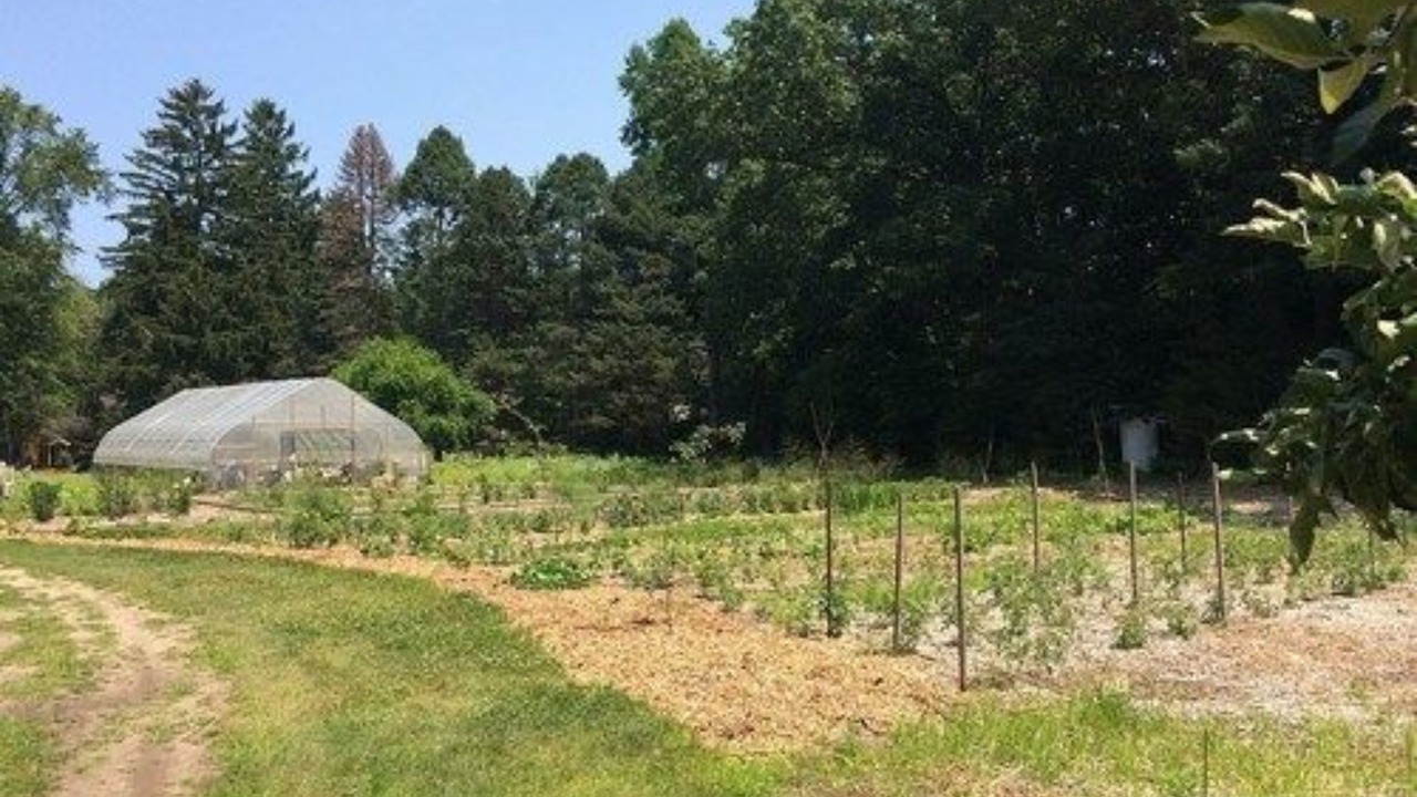 Photo of Others in Union Pier