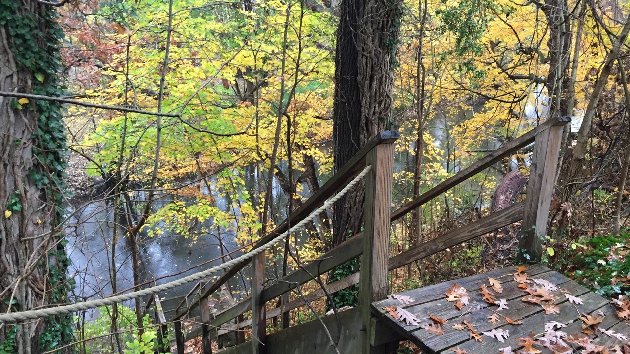 Photo of Others in Union Pier