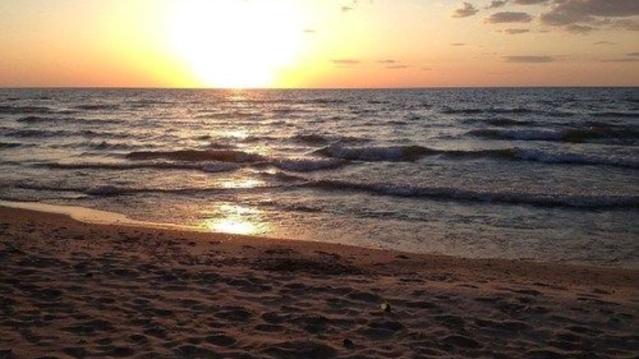 Photo of Others in Union Pier