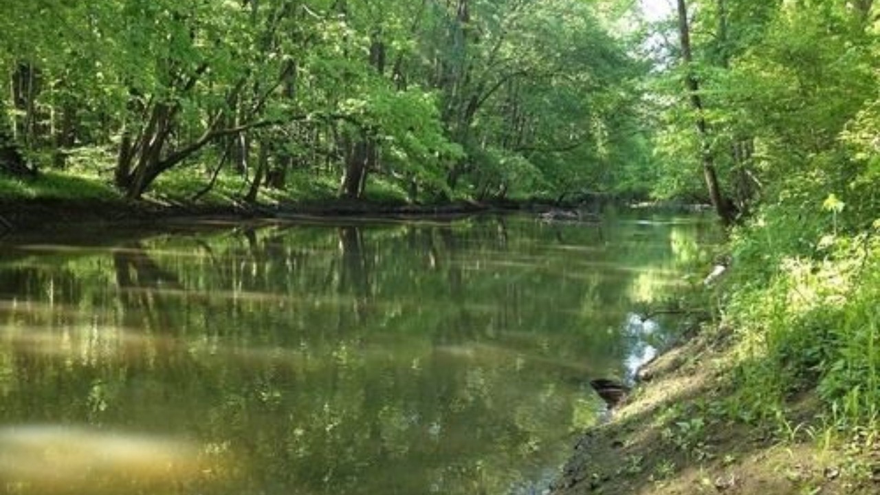 Photo of Outdoor in Union Pier