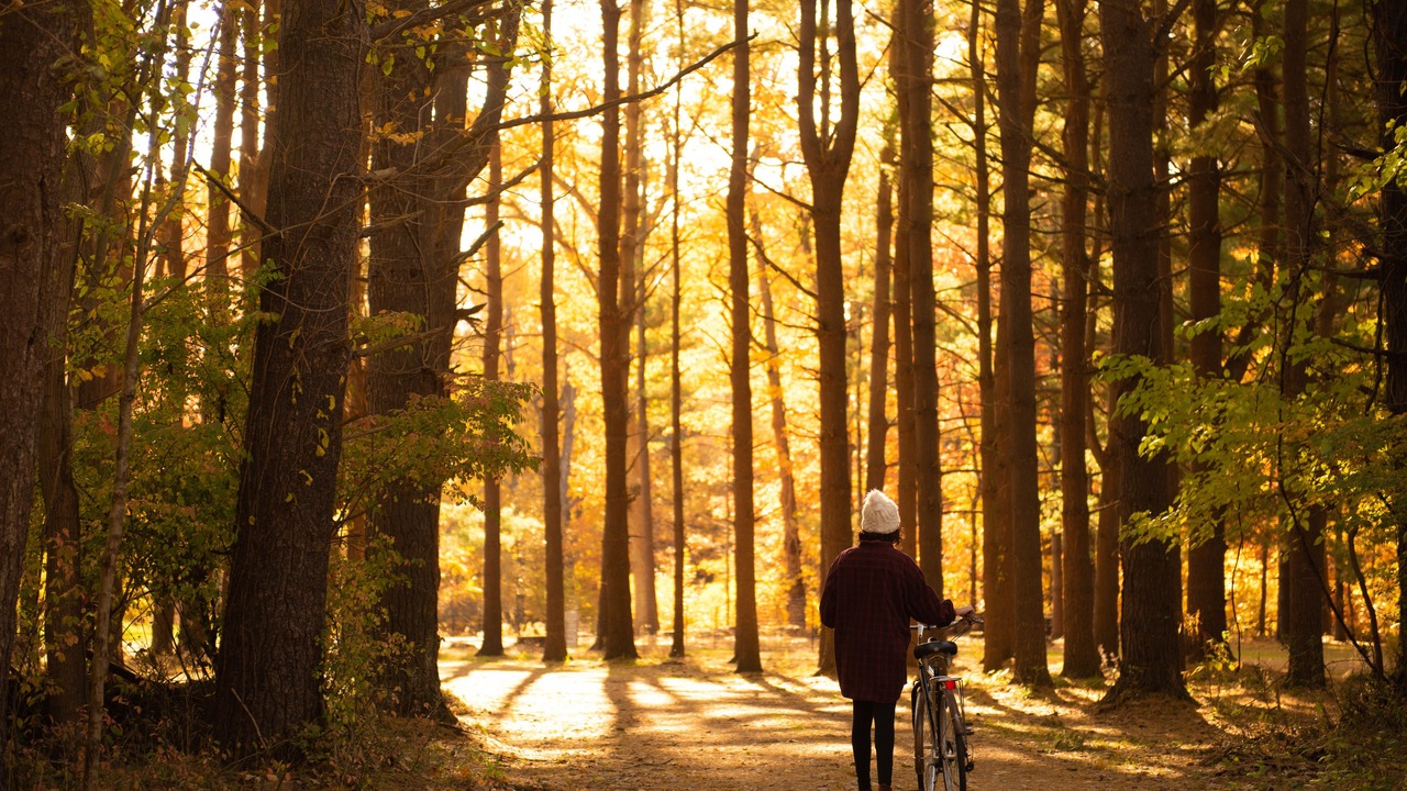 Photo of Outdoor in Union Pier