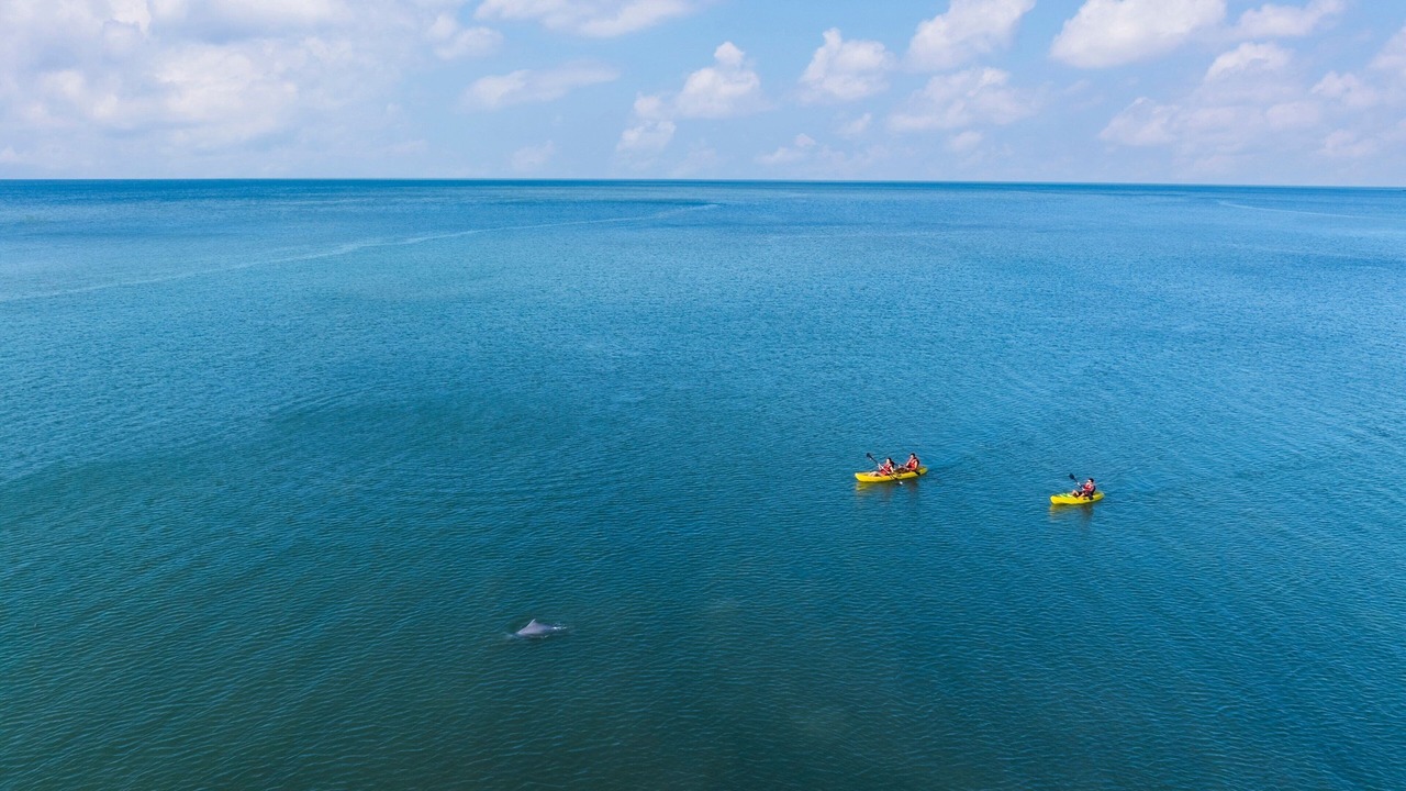 Photo of Others in Kuala Teriang