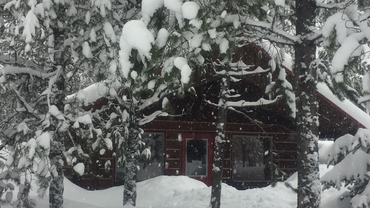 Photo of Others in Columbia Falls