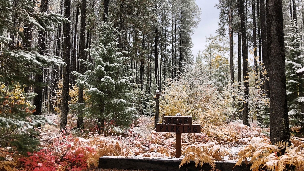 Photo of Outdoor in Columbia Falls