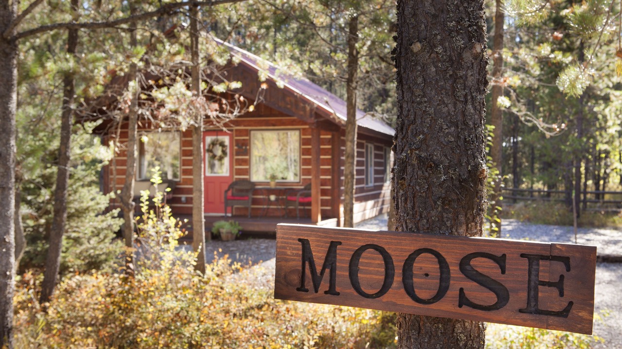 Photo of Outdoor in Columbia Falls