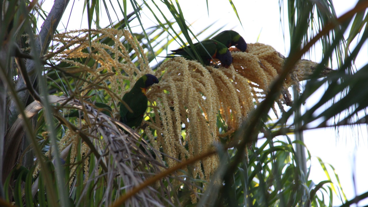Photo of Outdoor in Chapel Hill