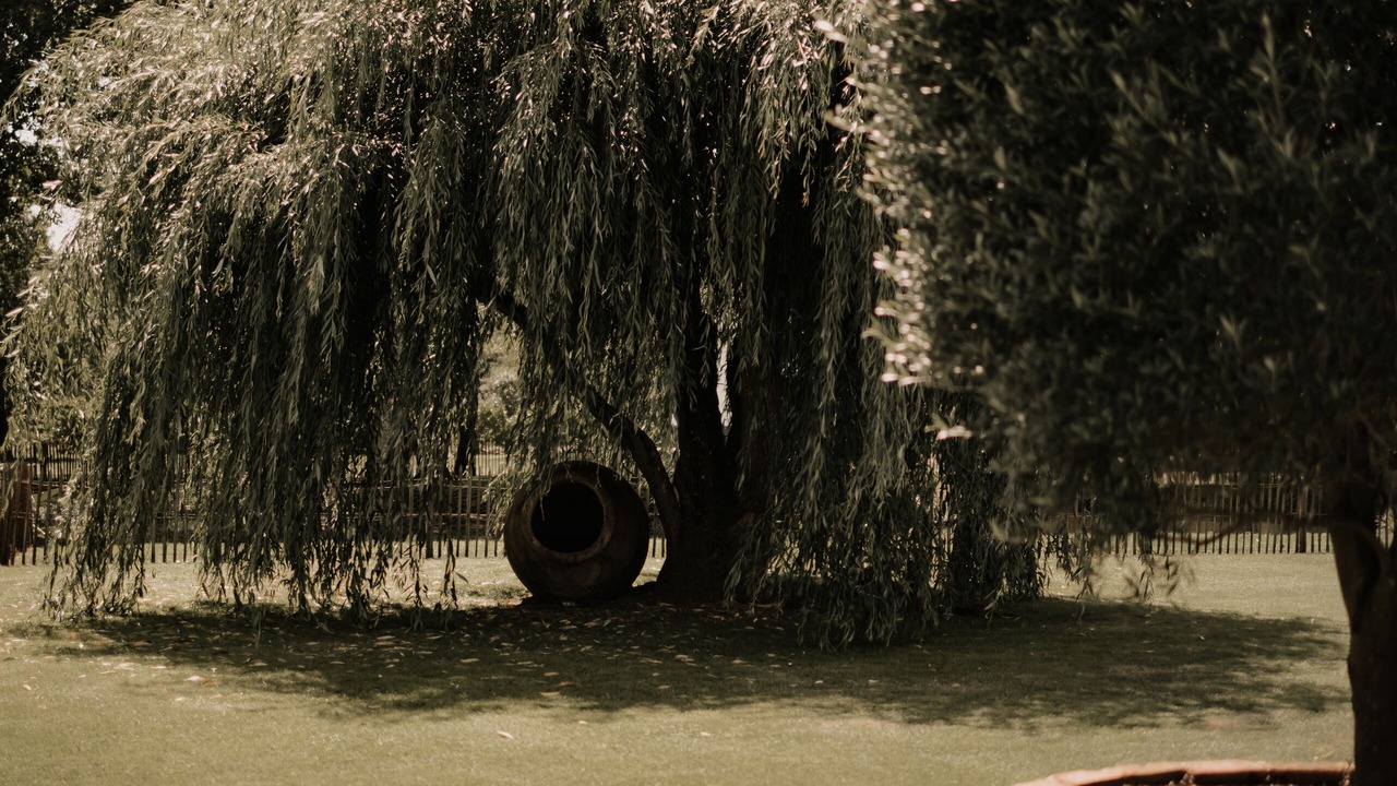 Photo of Outdoor in Biscarrosse