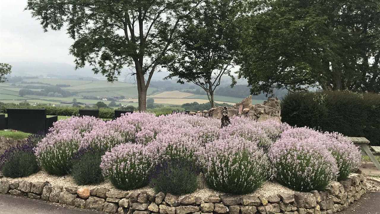 Photo of Others in Old Cleeve