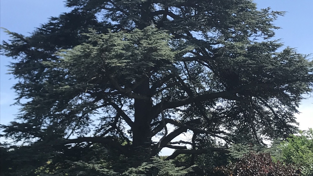 Photo of Outdoor in Old Cleeve