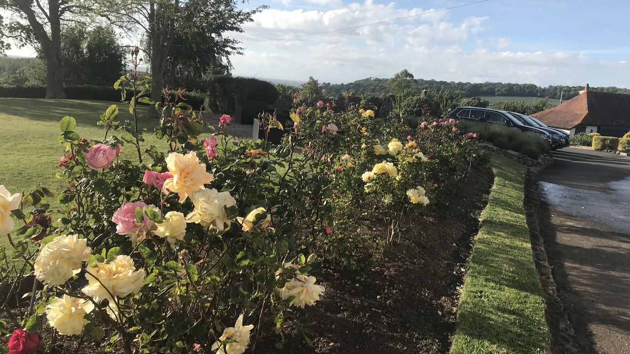 Photo of Outdoor in Old Cleeve