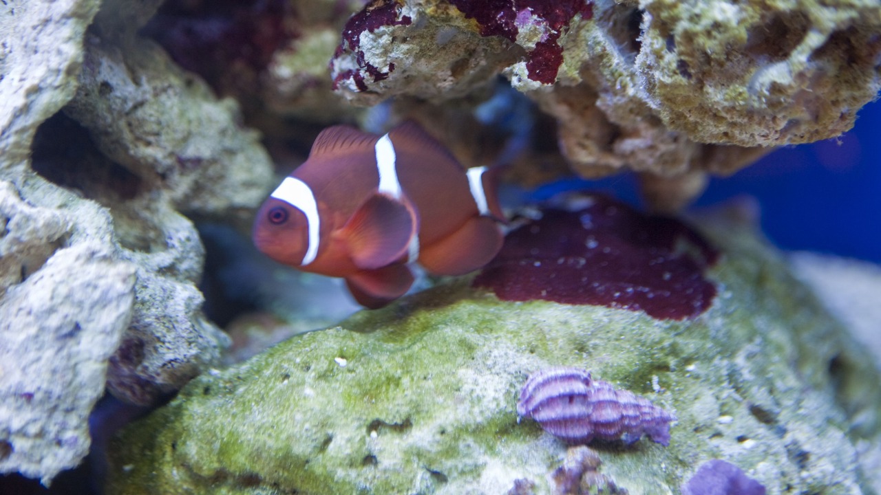 Photo of Others in Windermere