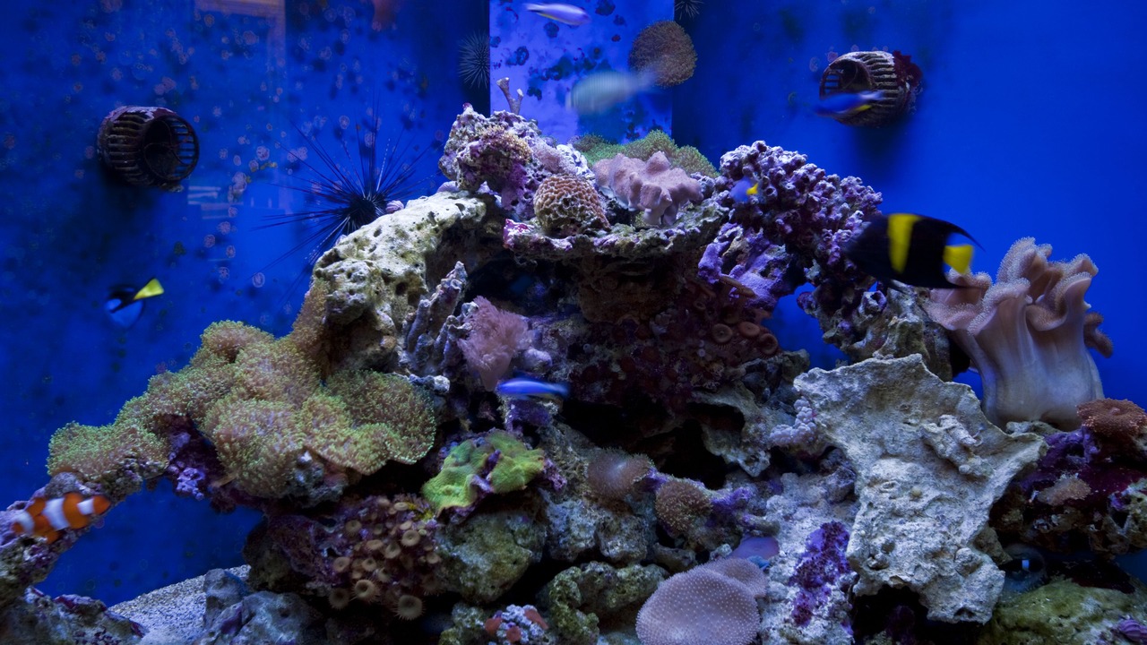 Photo of Others in Windermere