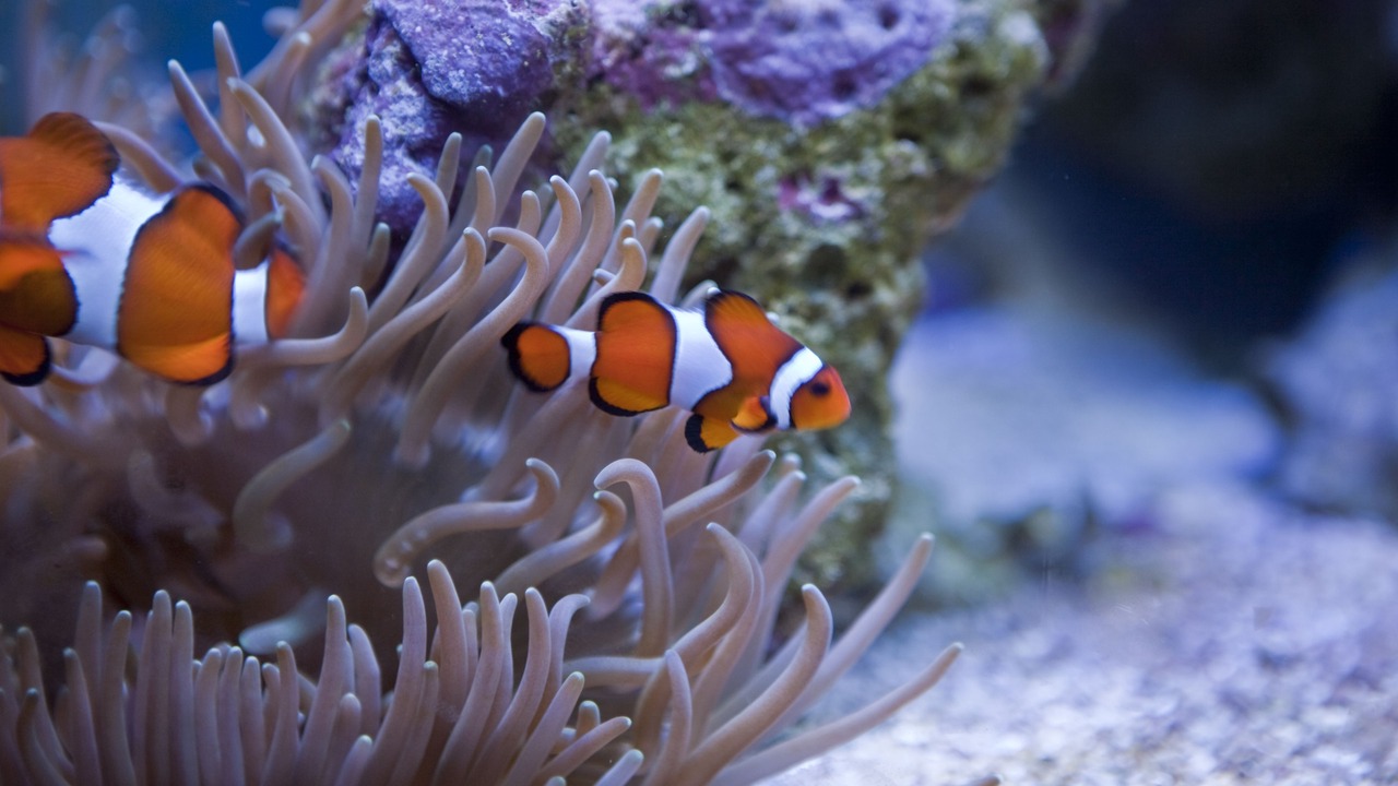 Photo of Others in Windermere