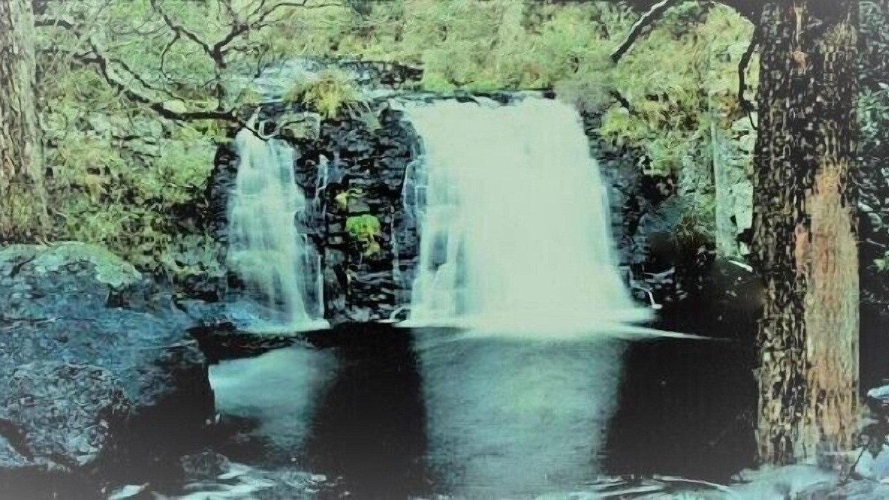 Photo of Others in Ebor