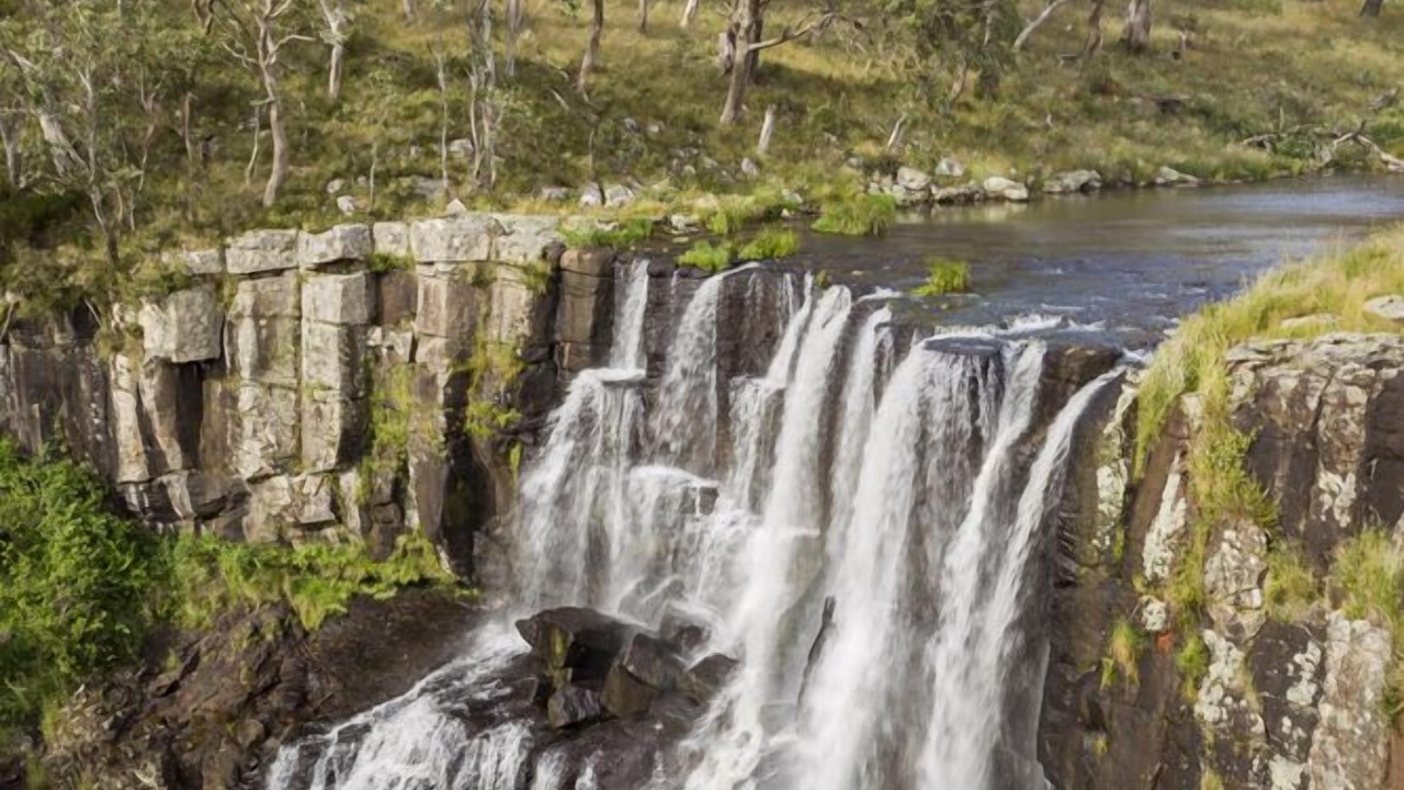 Photo of Others in Ebor