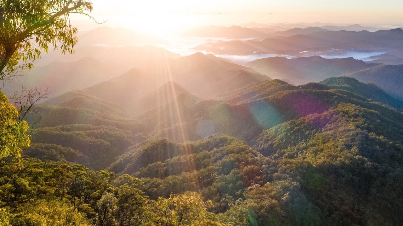 Photo of Others in Ebor