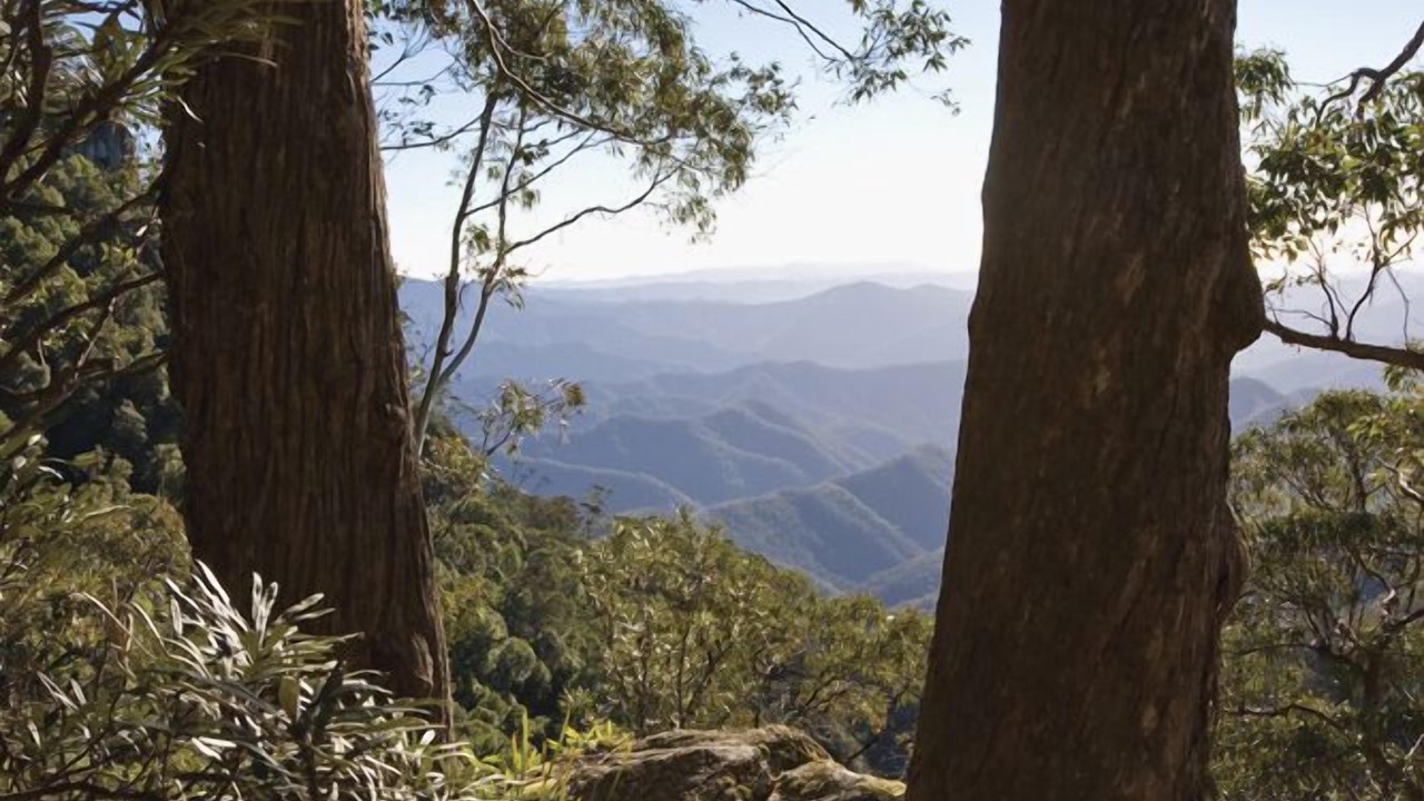 Photo of Others in Ebor