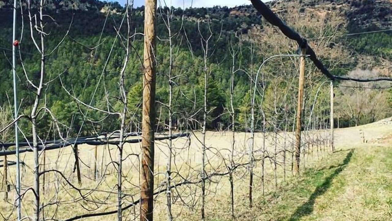 Photo of Outdoor in San Lorenzo de Morunys