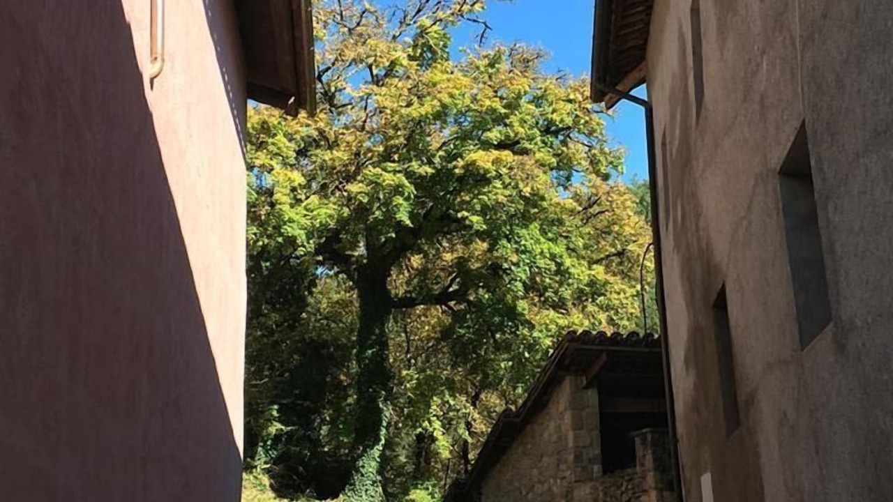 Photo of Outdoor in San Lorenzo de Morunys