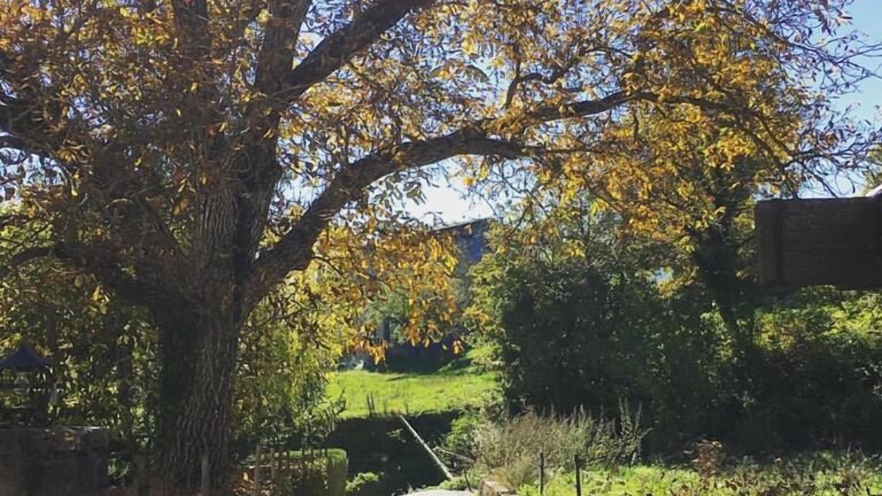Photo of Outdoor in San Lorenzo de Morunys