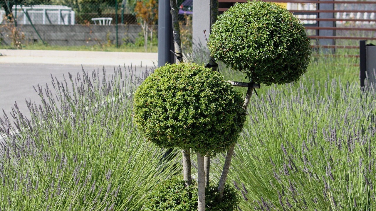 Photo of Outdoor in Alixan