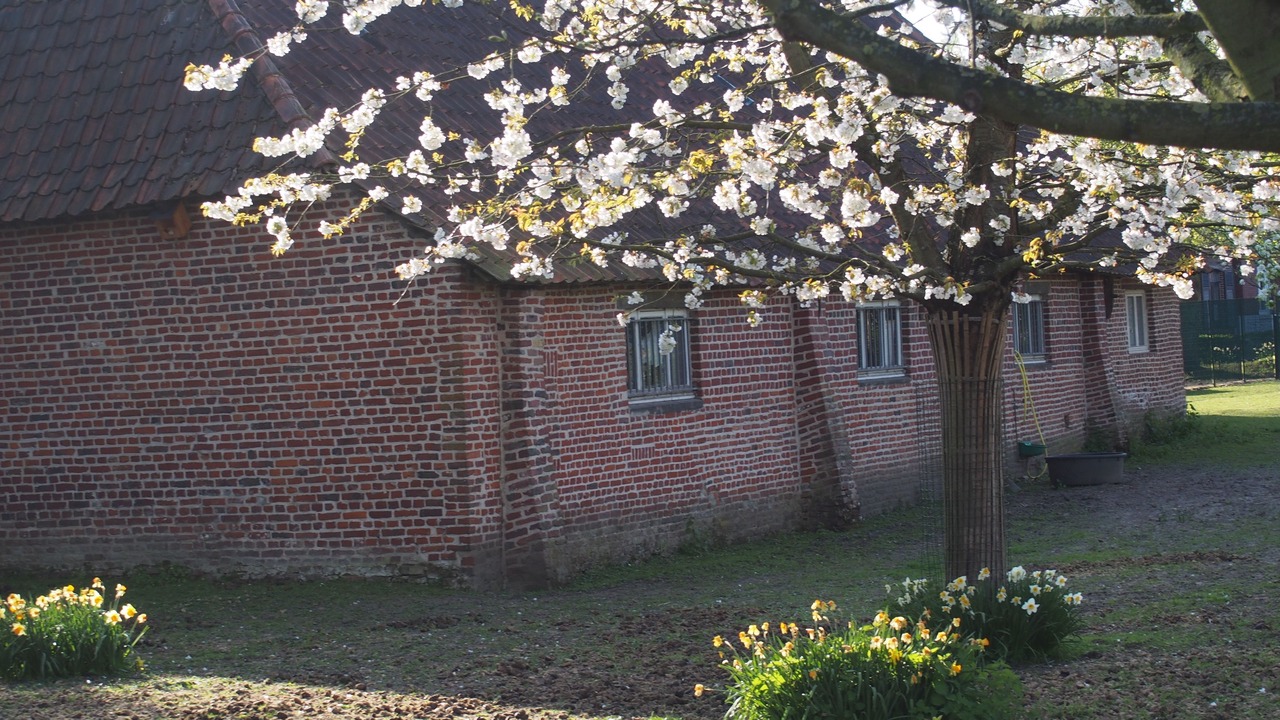 Photo of Others in Marcq-en-Baroeul