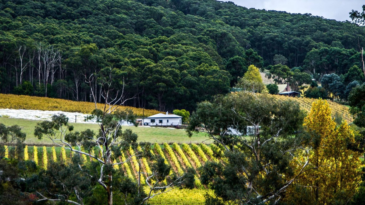 Photo of Others in Crafers