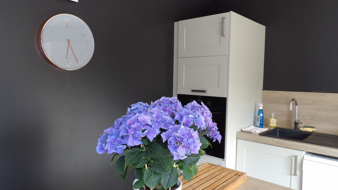 Photo of Others in Fleurbaix