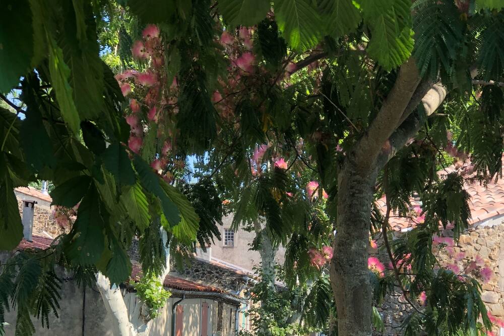 Photo of Outdoor in Labastide-en-Val