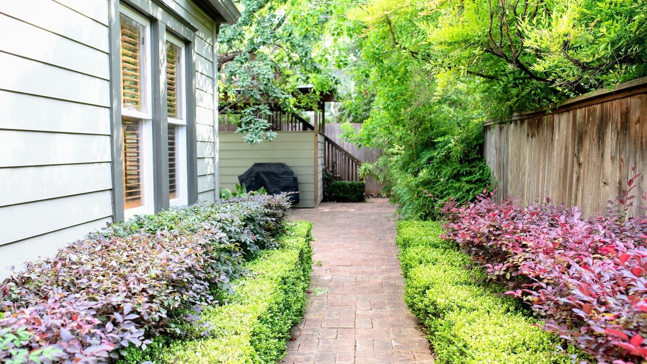 Photo of Outdoor in North University