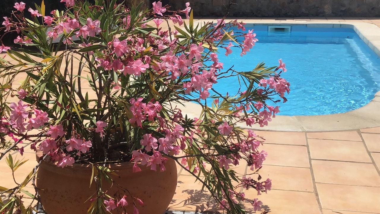 Photo of Outdoor in Embres-et-Castelmaure
