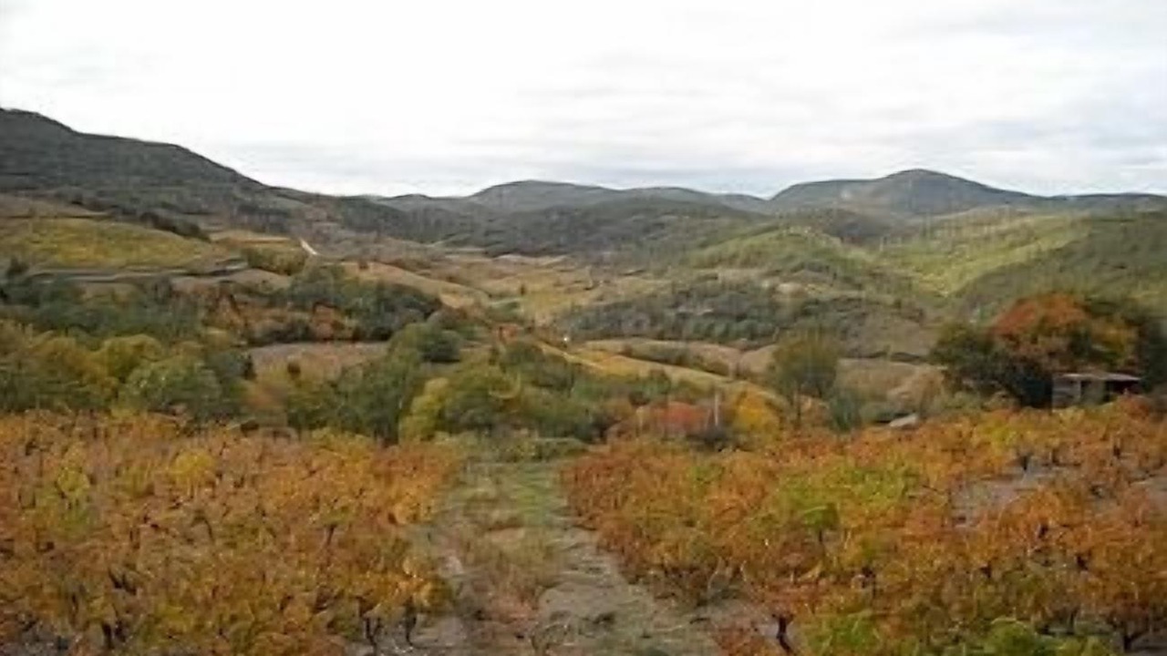 Photo of Outdoor in Embres-et-Castelmaure