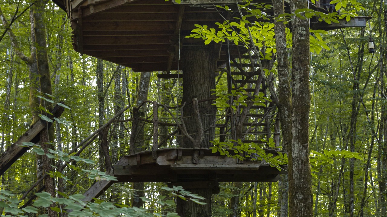 Photo of Others in Guyonvelle