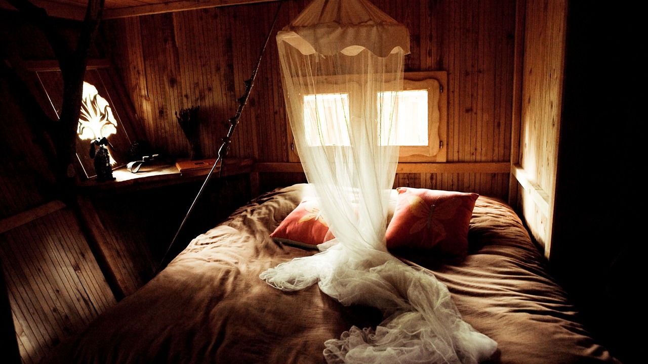 Photo of Others in Guyonvelle