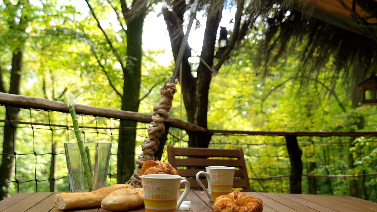 Photo of Patio Balcony in Guyonvelle