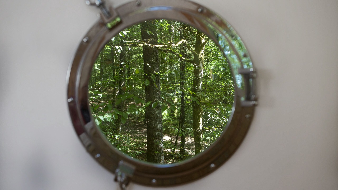 Photo of Others in Guyonvelle